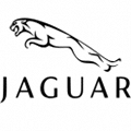 Jaguar animal logo on white background